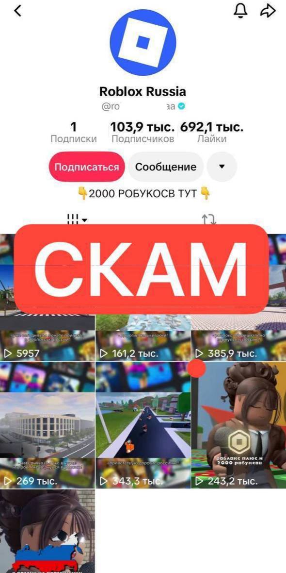 Екатерина Мизулина предупредила детей о мошеннической схеме с Roblox